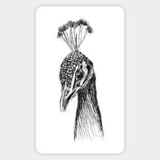 Peacock head image Sticker